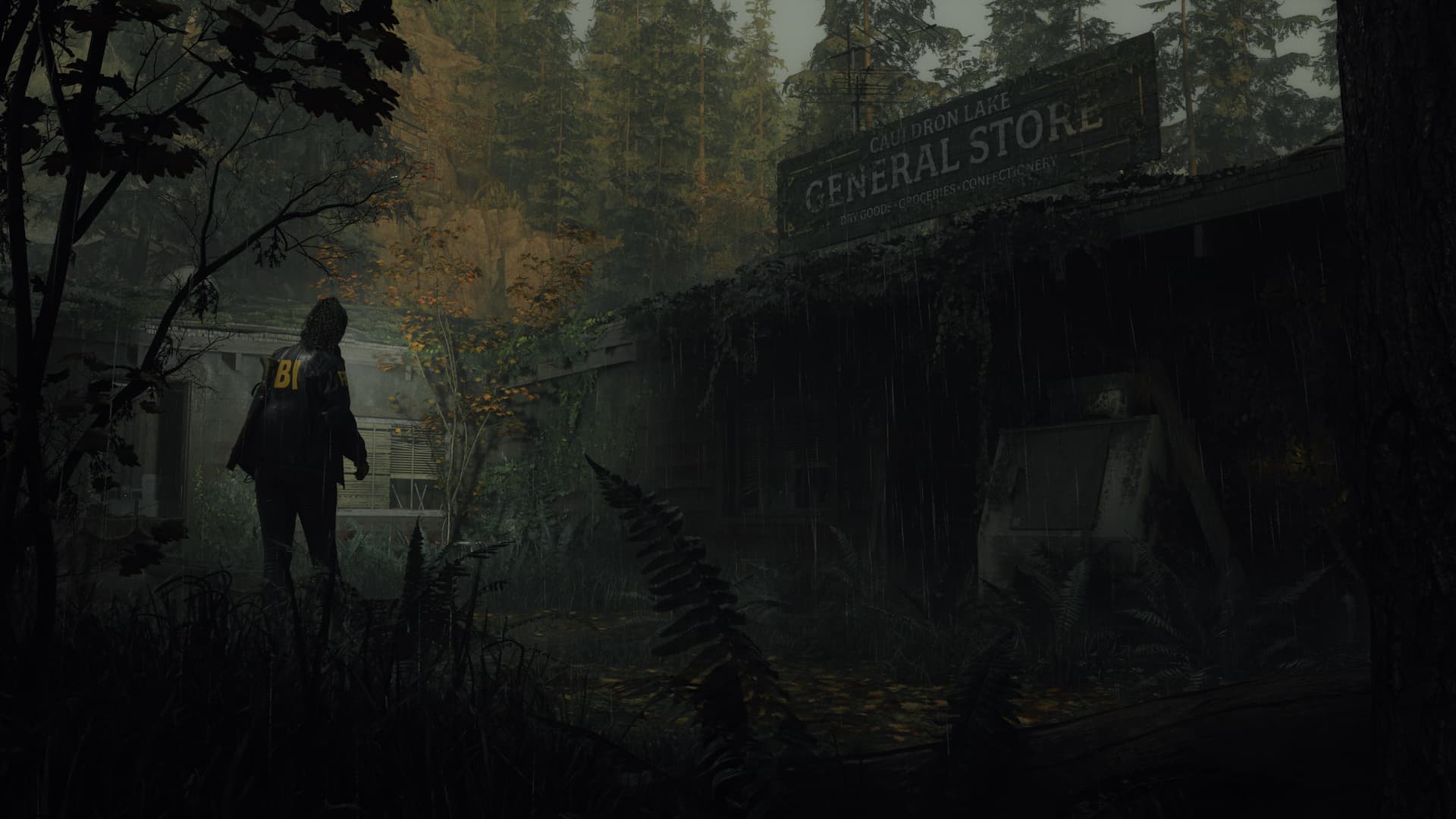 Alan Wake 2 Game Guide